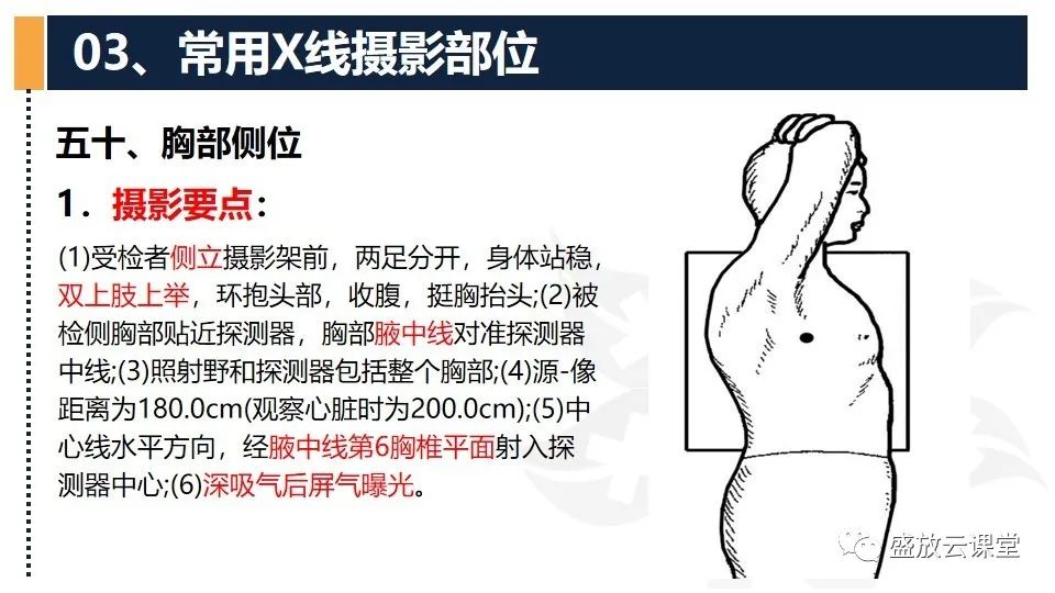 影像PPT - 【PPT】数字X线摄影检查（四）-7
