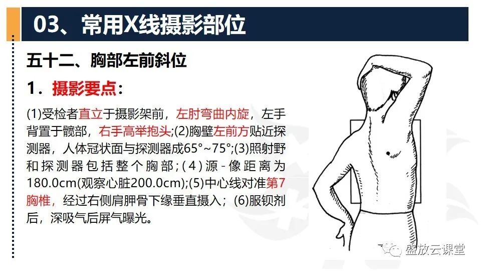 影像PPT - 【PPT】数字X线摄影检查（四）-11