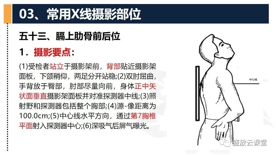 影像PPT - 【PPT】数字X线摄影检查（四）-13