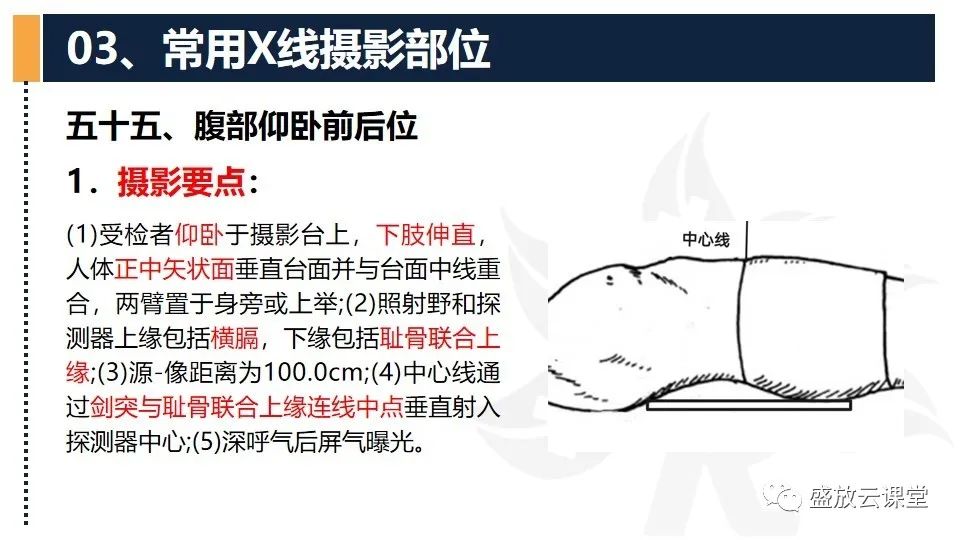 影像PPT - 【PPT】数字X线摄影检查（四）-18