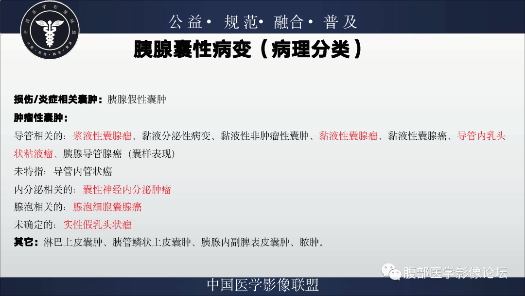 影像PPT - 【病例】胰腺浆液性囊腺瘤1例影像表现-13