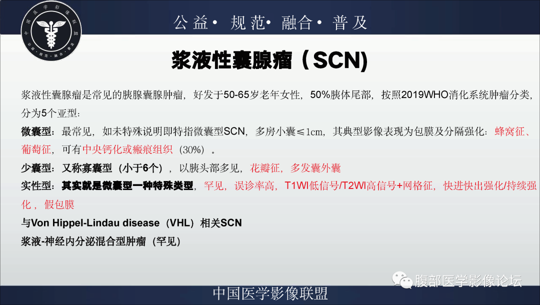 影像PPT - 【病例】胰腺浆液性囊腺瘤1例影像表现-15