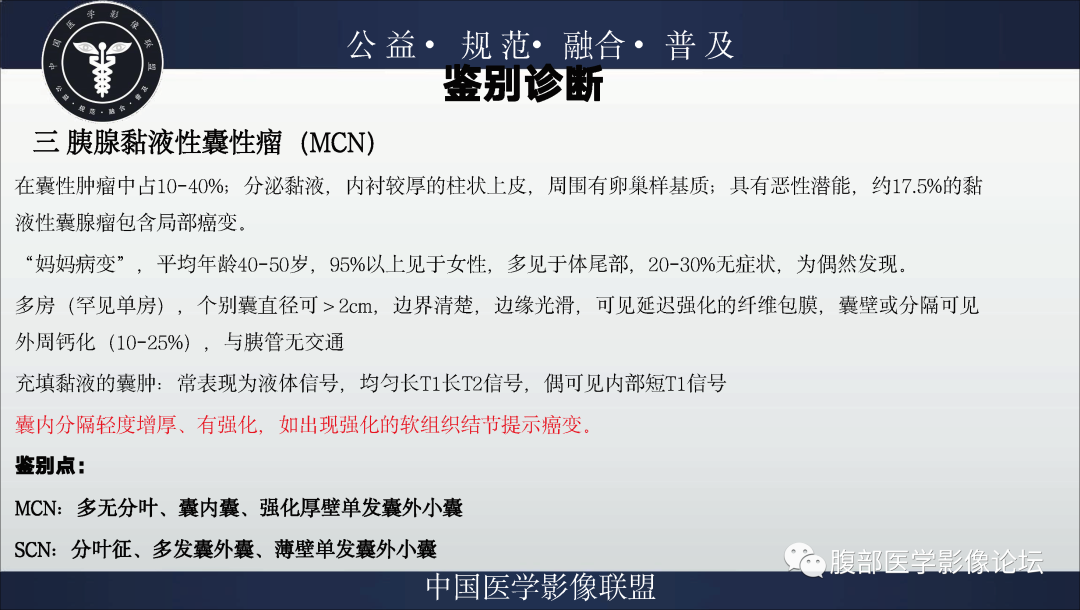 影像PPT - 【病例】胰腺浆液性囊腺瘤1例影像表现-31