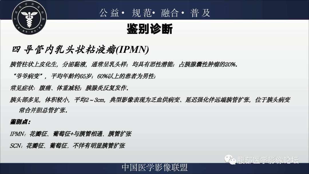 影像PPT - 【病例】胰腺浆液性囊腺瘤1例影像表现-33