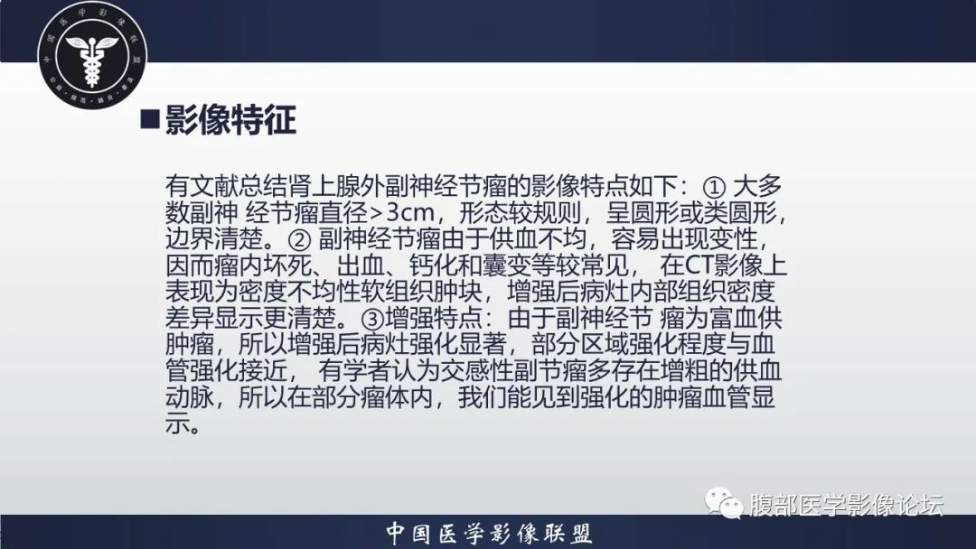 影像PPT - 【病例】肾脏副神经节细胞瘤1例影像分析-23