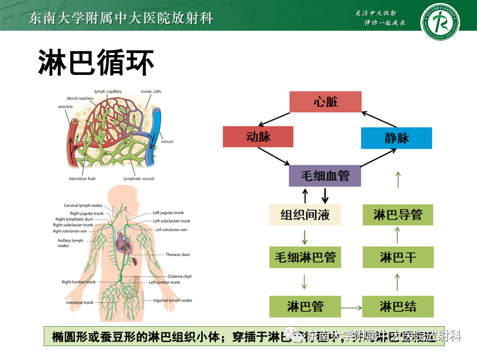 影像PPT - 【PPT】腹部多发淋巴结肿大影像诊断与鉴别-14