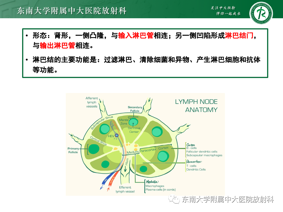 影像PPT - 【PPT】腹部多发淋巴结肿大影像诊断与鉴别-15