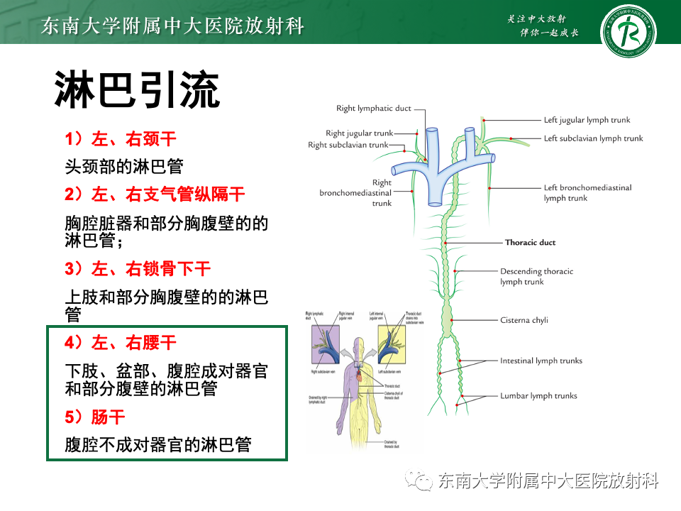 影像PPT - 【PPT】腹部多发淋巴结肿大影像诊断与鉴别-16