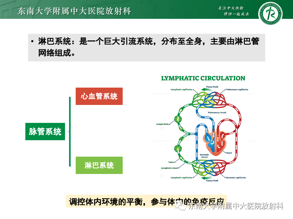 影像PPT - 【PPT】腹部多发淋巴结肿大影像诊断与鉴别-13
