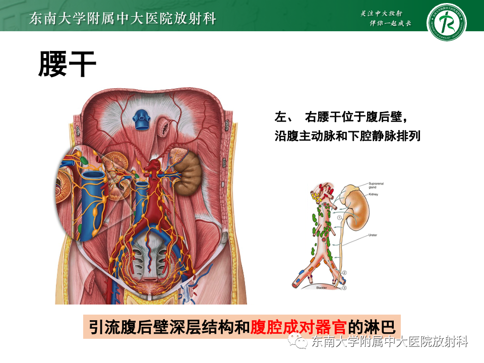影像PPT - 【PPT】腹部多发淋巴结肿大影像诊断与鉴别-19