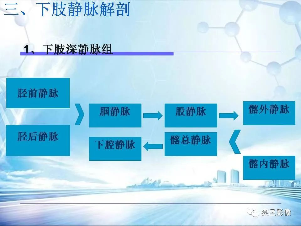 影像PPT - 【PPT】浅谈下肢静脉CTV的应用体会-8