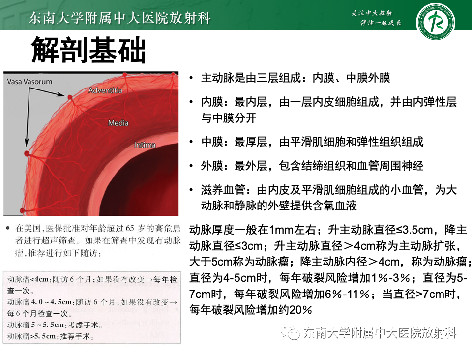 影像PPT - 【PPT】多发性大动脉炎-6