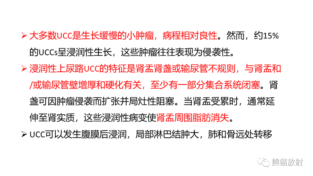 影像PPT - 【病例】肾集合管癌 VS 浸润性尿路上皮癌-19