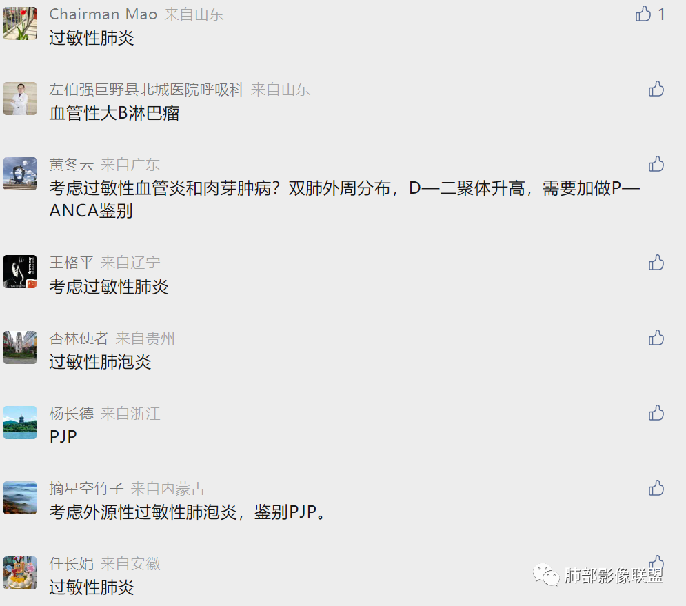 影像PPT - 【病例】肺部弥漫大B淋巴瘤病例思考及启示-52 影像PPT - 【病例】肺部弥漫大B淋巴瘤病例思考及启示-52