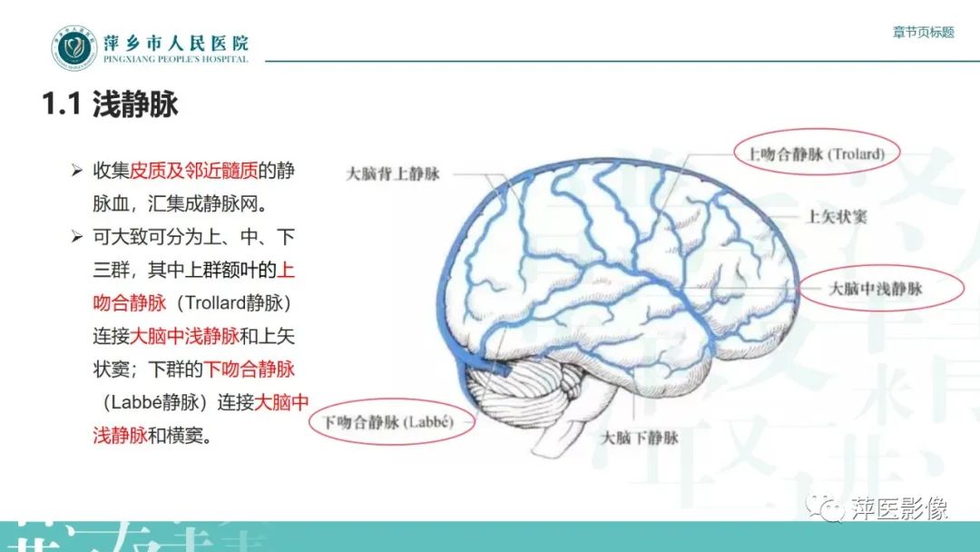 影像PPT - 【PPT】颅内静脉窦血栓形成-5