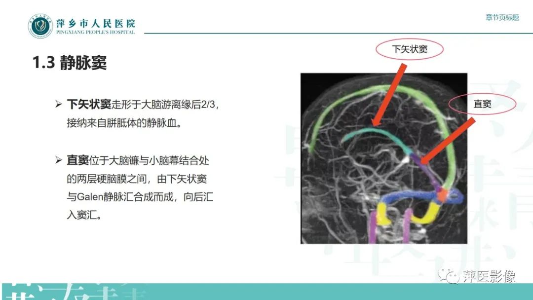 影像PPT - 【PPT】颅内静脉窦血栓形成-12