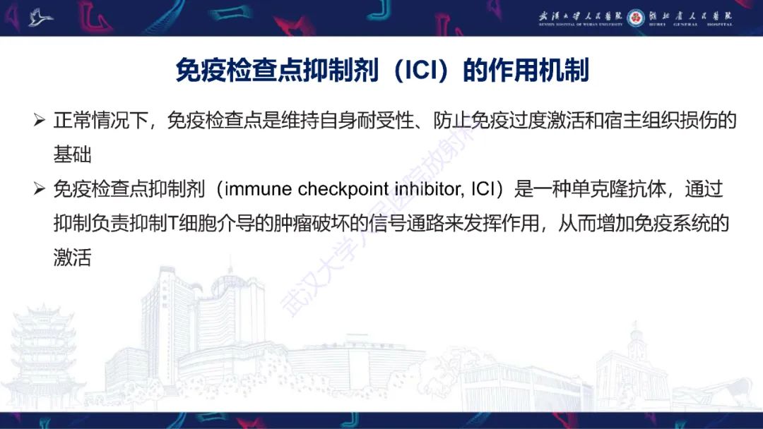 影像PPT - 【PPT】肿瘤免疫治疗疗效及不良事件影像评估-3