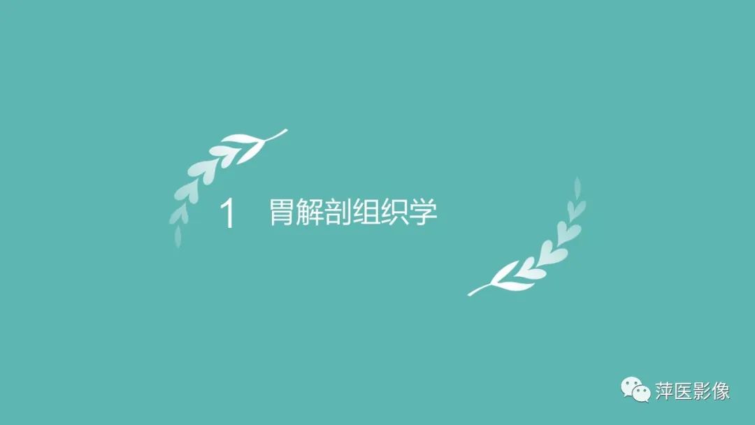 影像PPT - 【PPT】胃癌影像表现及鉴别诊断-3