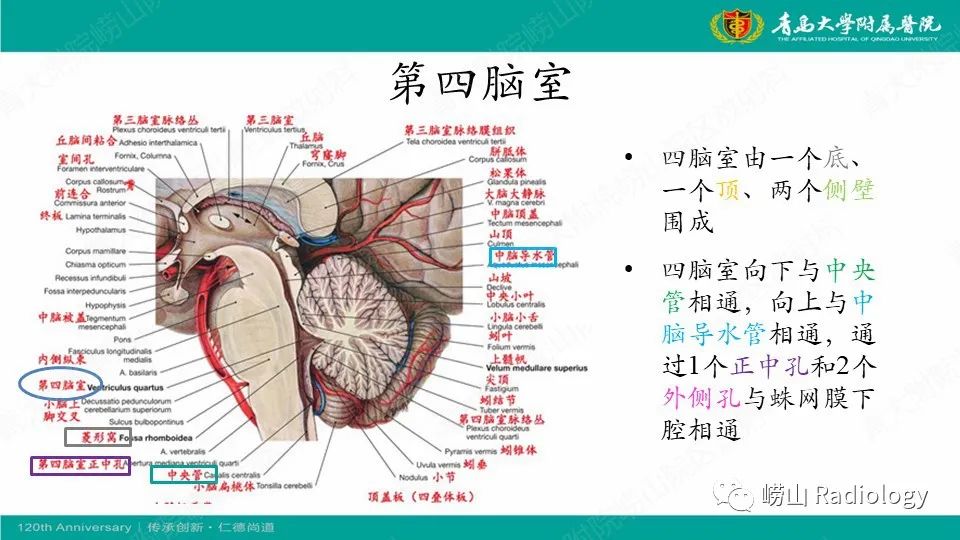 影像PPT - 【病例】髓母细胞瘤1例CT及MR-8