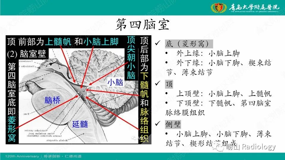 影像PPT - 【病例】髓母细胞瘤1例CT及MR-9