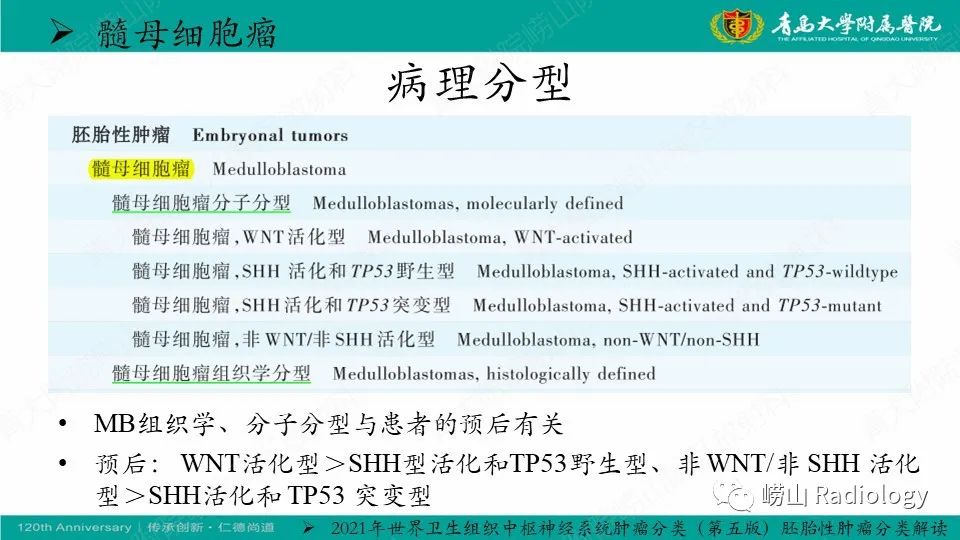 影像PPT - 【病例】髓母细胞瘤1例CT及MR-22