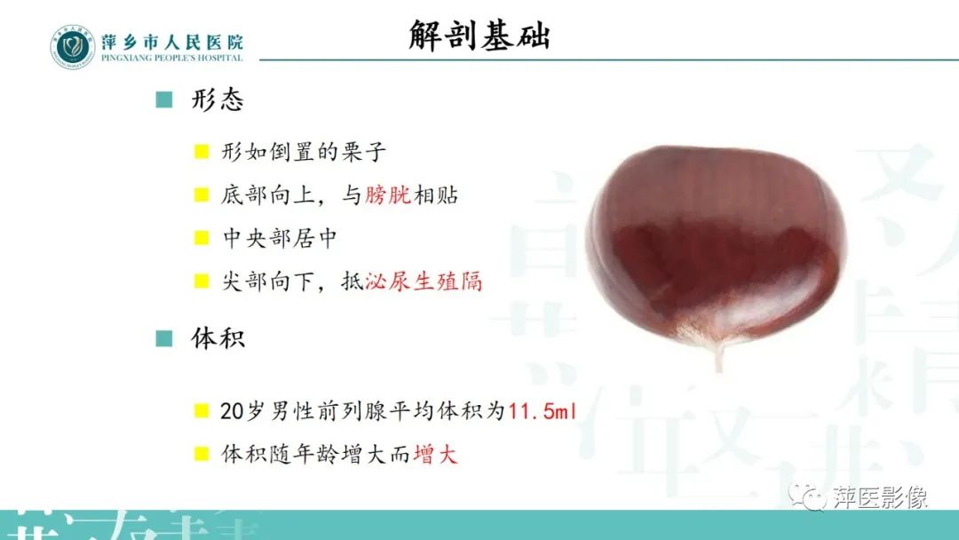 影像PPT - 【PPT】前列腺癌影像诊断-5