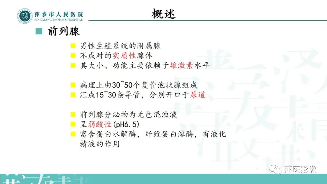 影像PPT - 【PPT】前列腺癌影像诊断-3