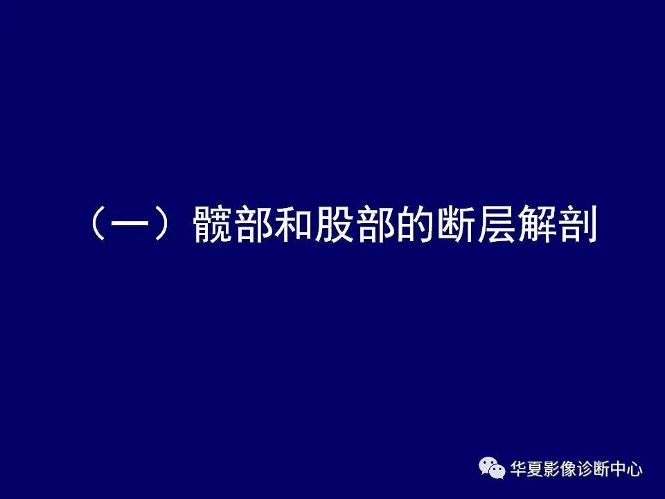 影像PPT - 【PPT】下肢的断层解剖-2