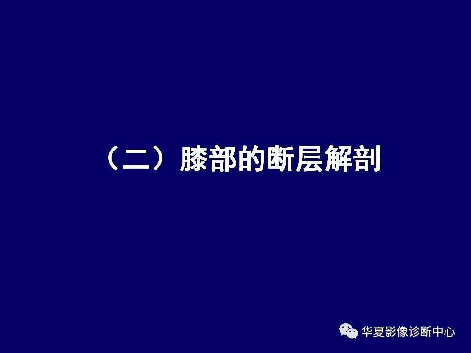 影像PPT - 【PPT】下肢的断层解剖-40