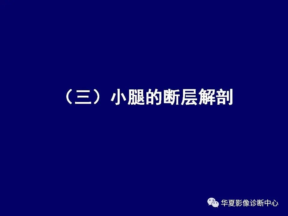 影像PPT - 【PPT】下肢的断层解剖-59