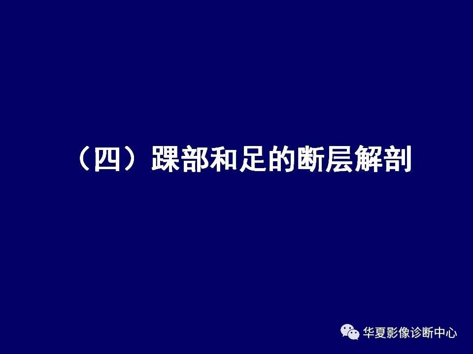 影像PPT - 【PPT】下肢的断层解剖-65