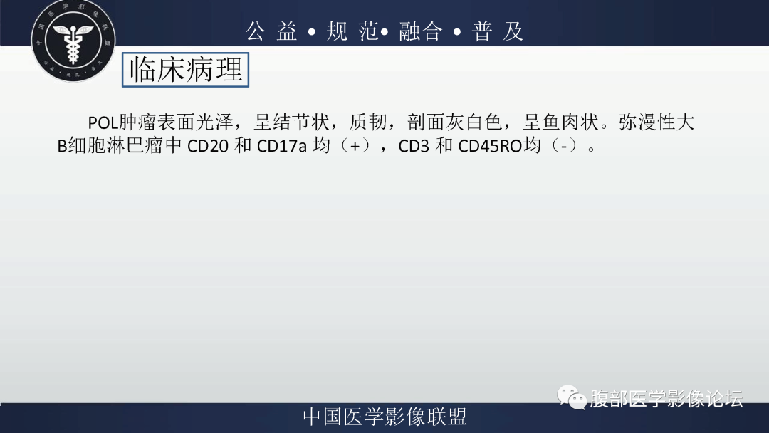 影像PPT - 【病例】卵巢弥漫大B细胞淋巴瘤1例MR影像-18