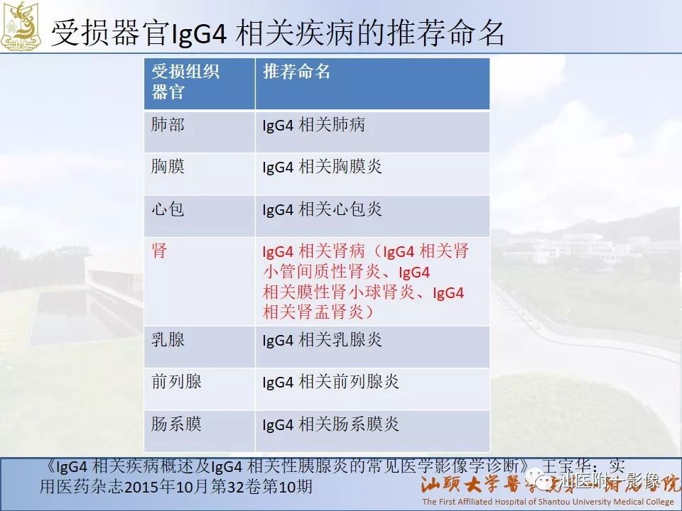 影像PPT - 【PPT】自身免疫性胰腺炎CT及MRI特征-26