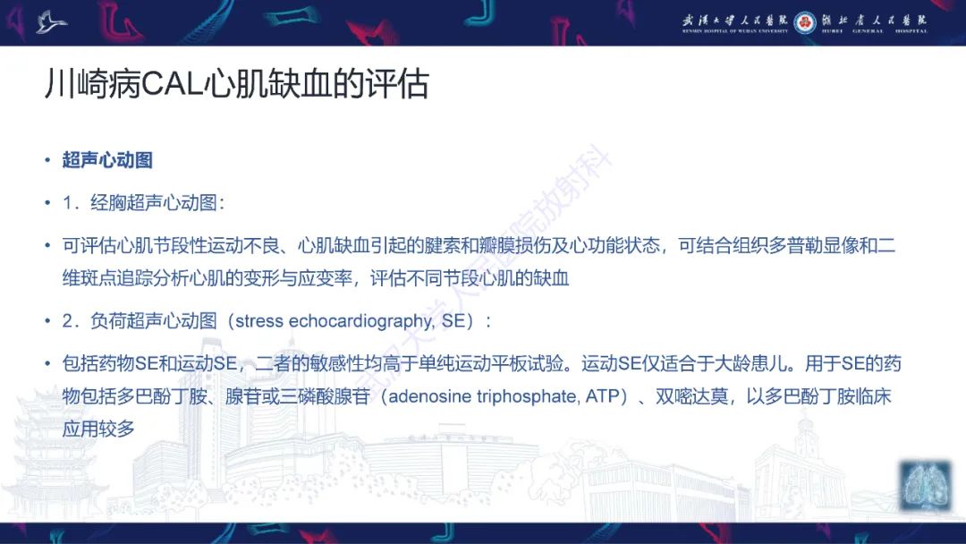 影像PPT - 【PPT】川崎病冠状动脉病变影像诊断-19