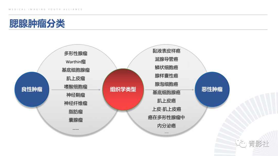 影像PPT - 【PPT】腮腺肿瘤的MRI诊断思路-6