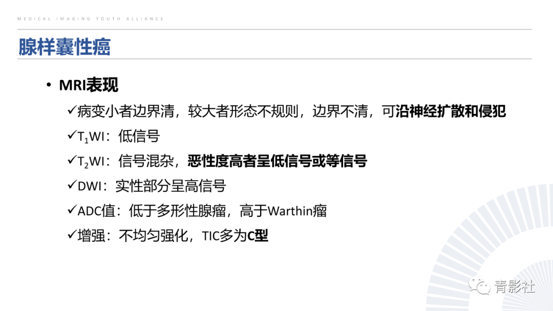 影像PPT - 【PPT】腮腺肿瘤的MRI诊断思路-28