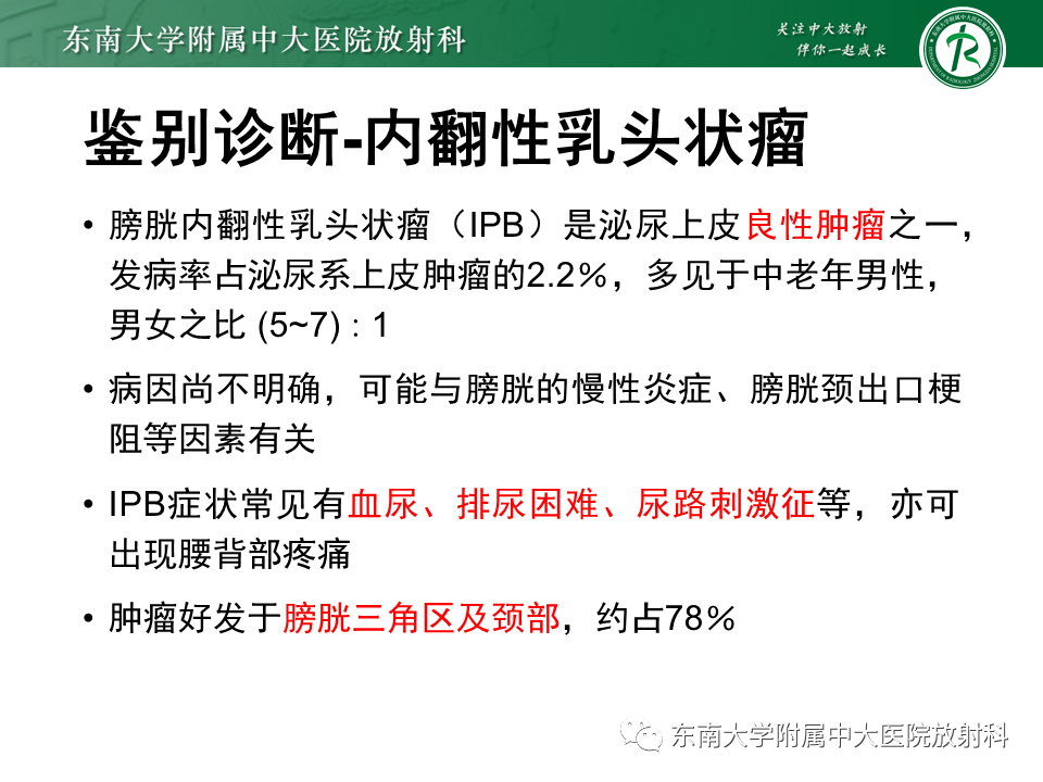 影像PPT - 【PPT】膀胱癌-47 影像PPT - 【PPT】膀胱癌-47