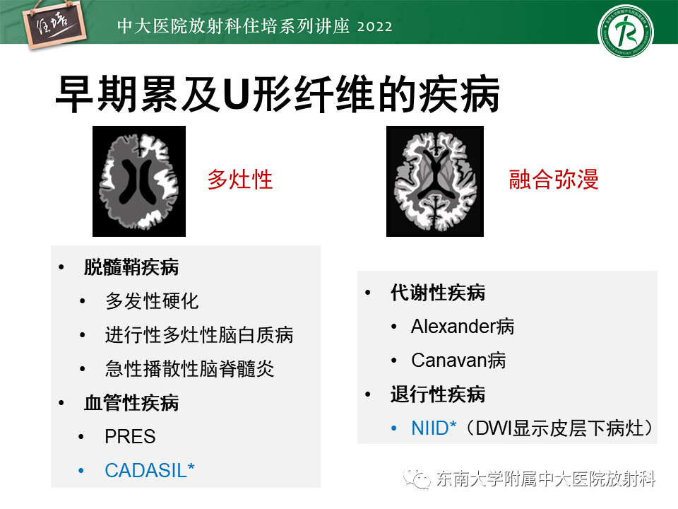 影像PPT - 【PPT】皮层下U形纤维受累常见病变-10