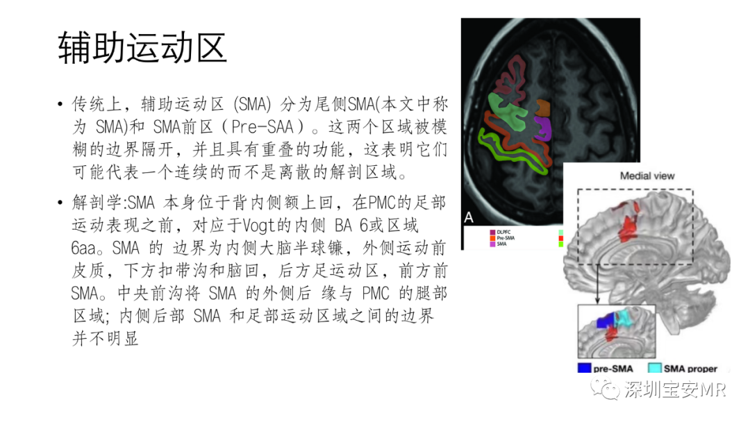 影像PPT - 【PPT】脑功能成像解剖-15