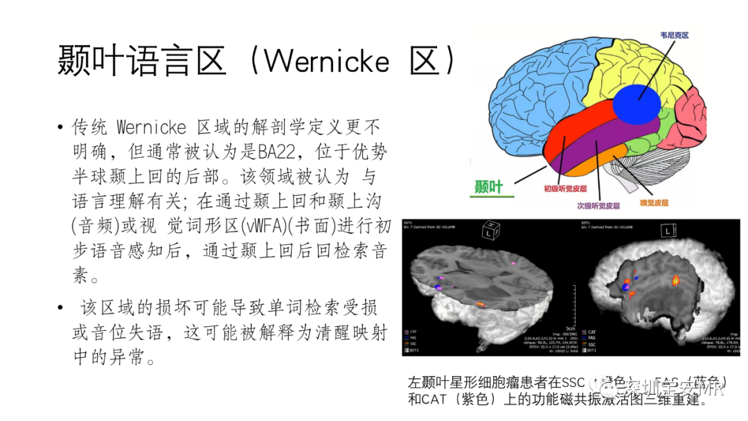 影像PPT - 【PPT】脑功能成像解剖-23