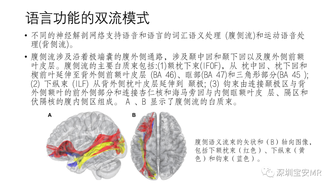 影像PPT - 【PPT】脑功能成像解剖-24