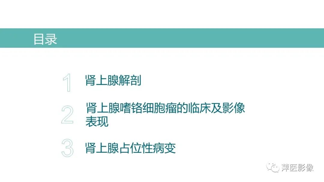 影像PPT - 【PPT】肾上腺嗜铬细胞瘤及肾上腺占位性病变-2
