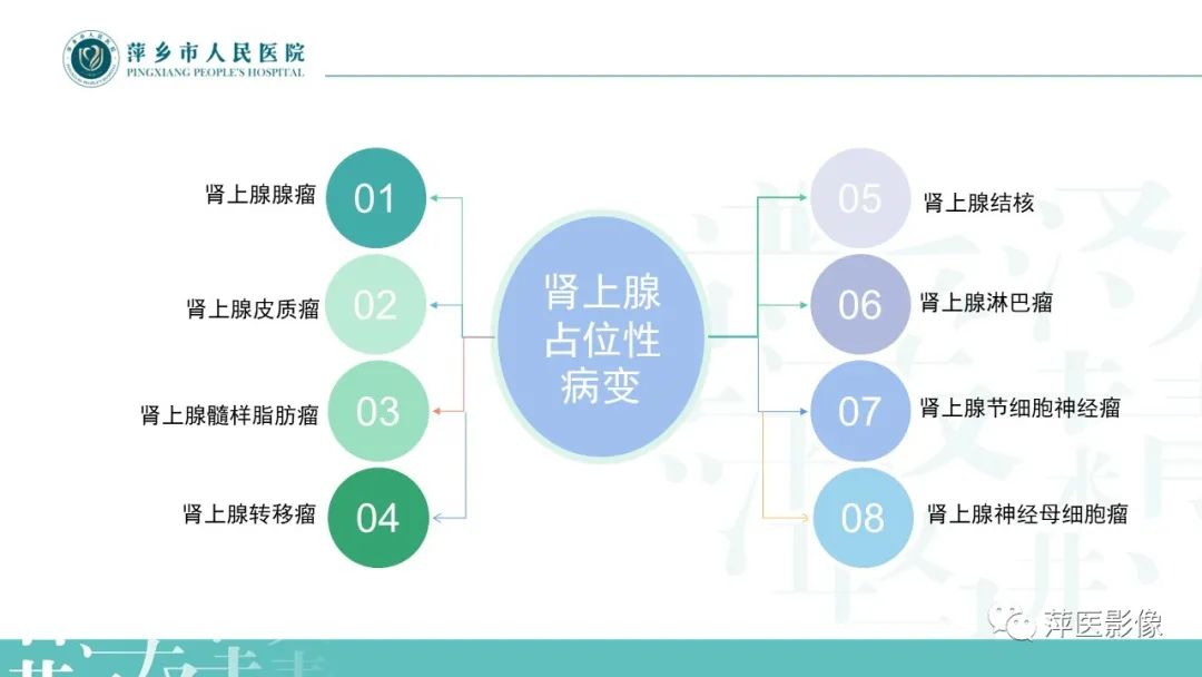 影像PPT - 【PPT】肾上腺嗜铬细胞瘤及肾上腺占位性病变-22