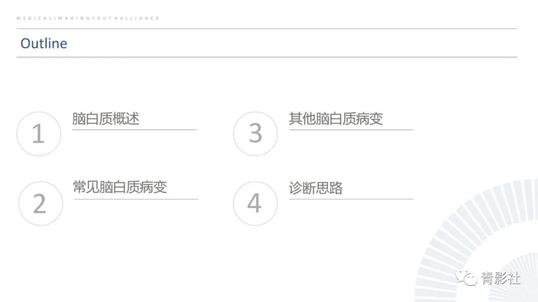 影像PPT - 【PPT】脑白质病变的影像诊断思路-2
