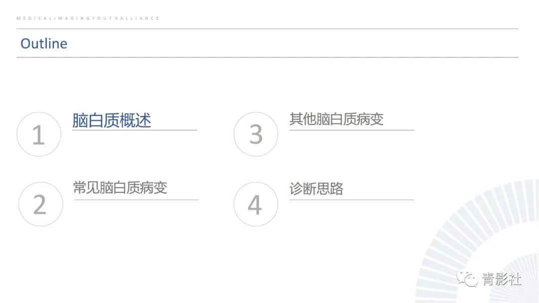 影像PPT - 【PPT】脑白质病变的影像诊断思路-3