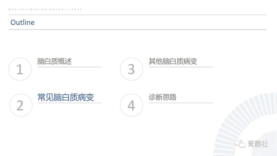 影像PPT - 【PPT】脑白质病变的影像诊断思路-7