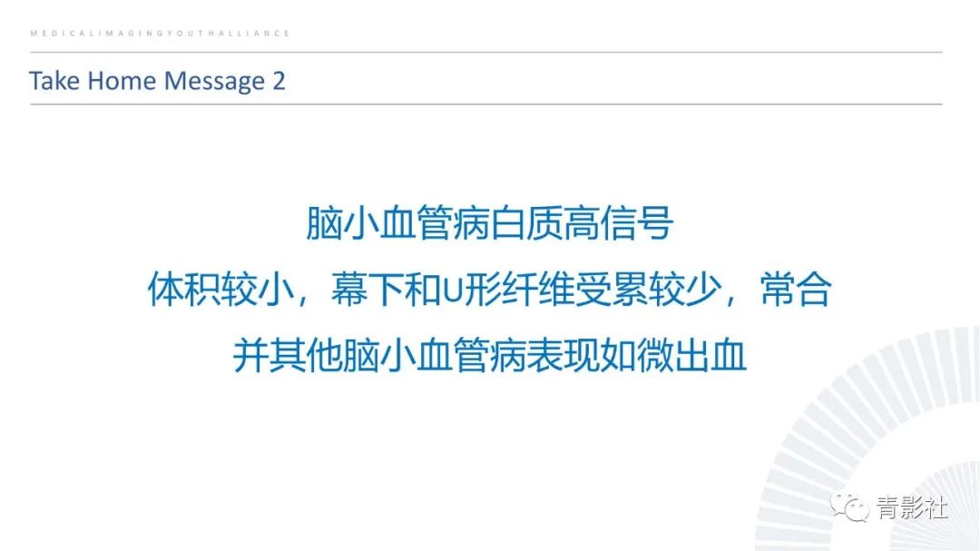 影像PPT - 【PPT】脑白质病变的影像诊断思路-27