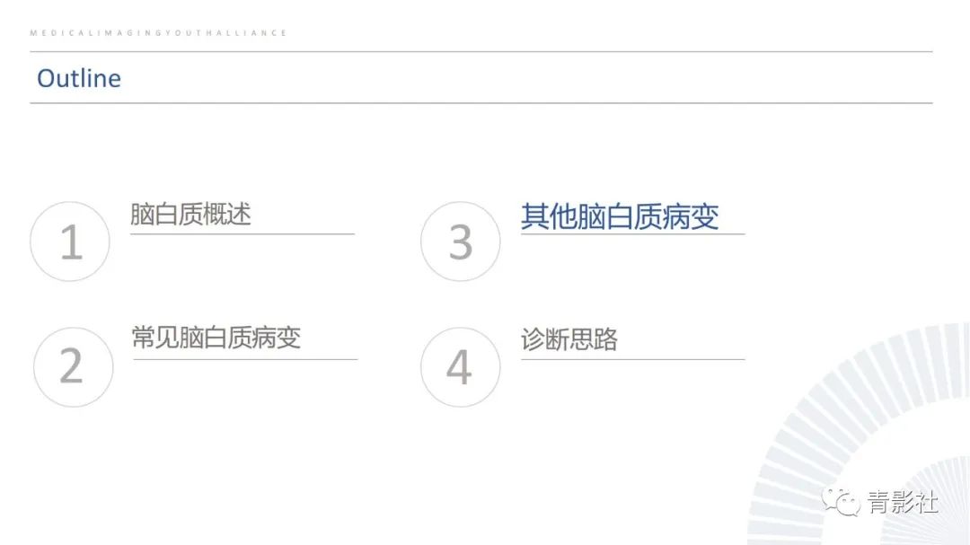 影像PPT - 【PPT】脑白质病变的影像诊断思路-28