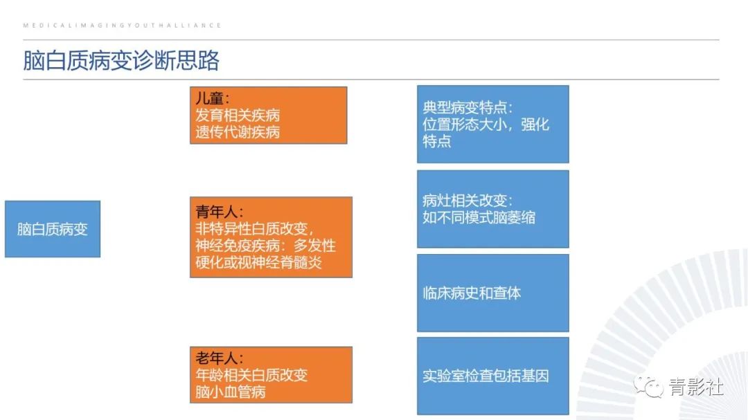 影像PPT - 【PPT】脑白质病变的影像诊断思路-39