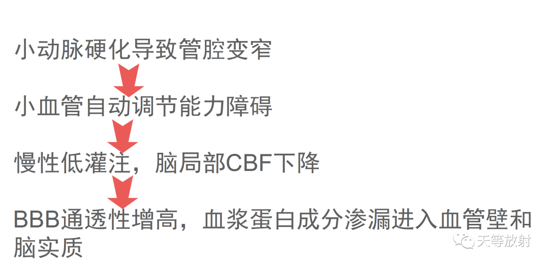 影像PPT - 脑白质病变-1 影像PPT - 脑白质病变-1